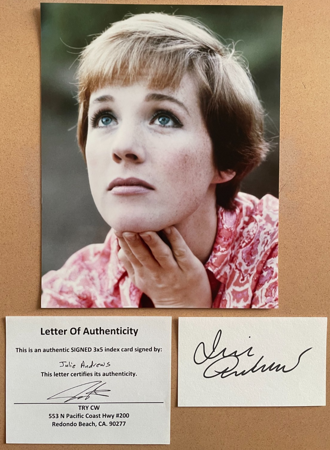 Julie Andrews Signed Autograph Signature 5x3 Index Card with Photograph & COA