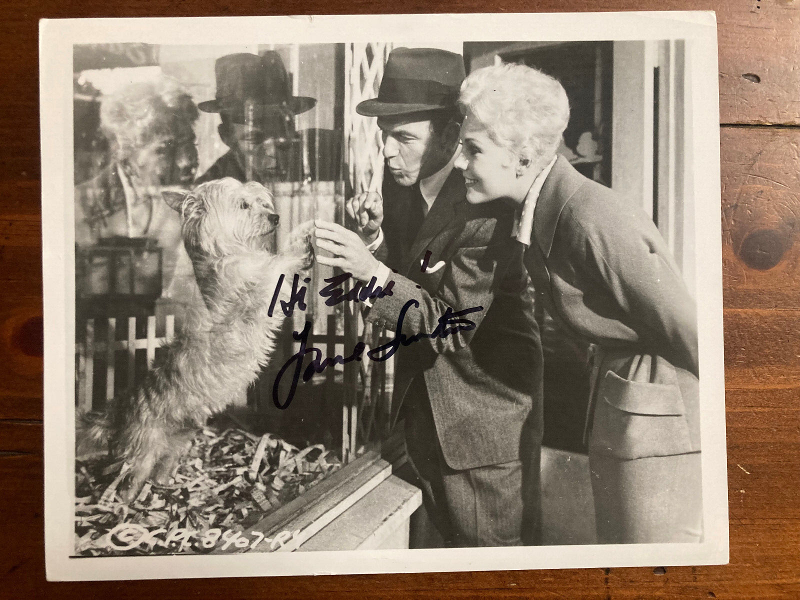 Frank Sinatra Signed Autograph Signature 10x8 Vintage Glossy Movie Photograph