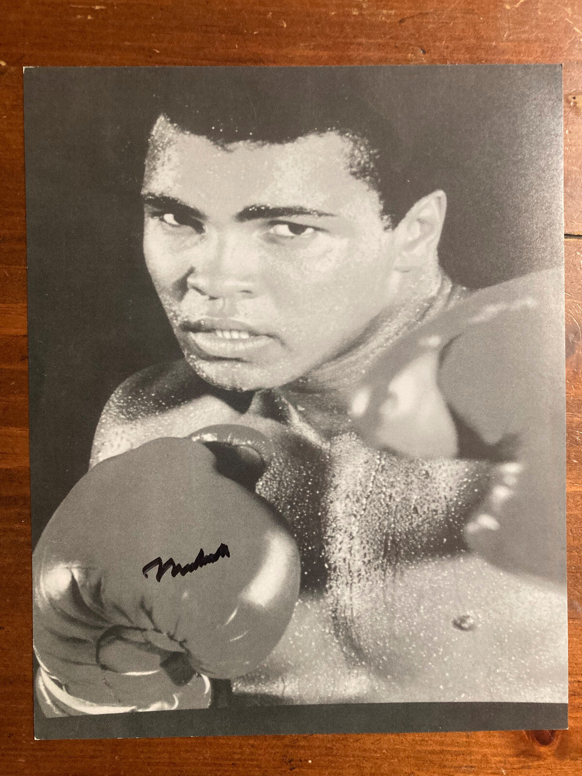 Muhammad Ali Signed Autograph Signature 8x10 B&W Semi Glossy Photograph