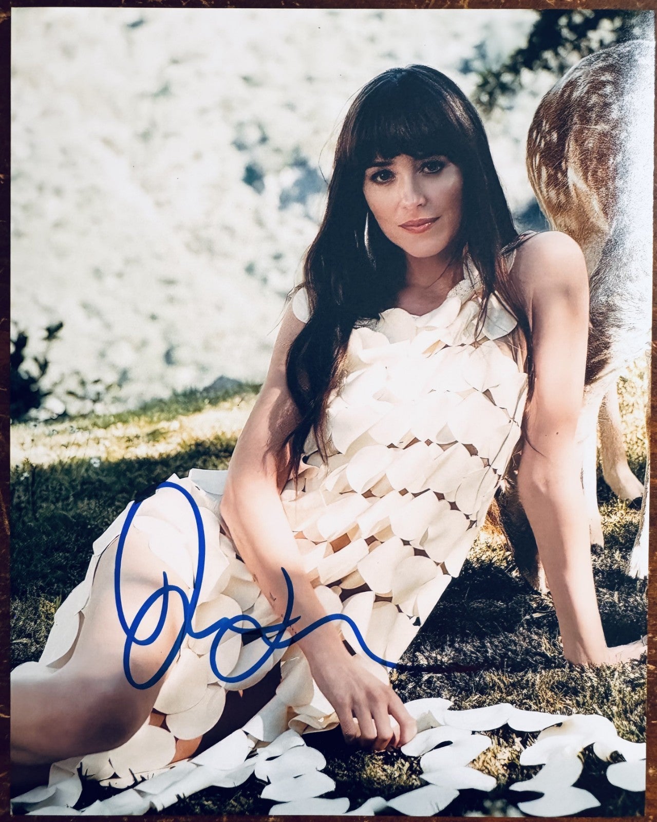Dakota Johnson Signed Autographed Signature 8x10 Matte Photograph COA