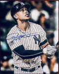 Giancarlo Mike Stanton Signed Autographed Signature 8x10 Matte Photograph COA