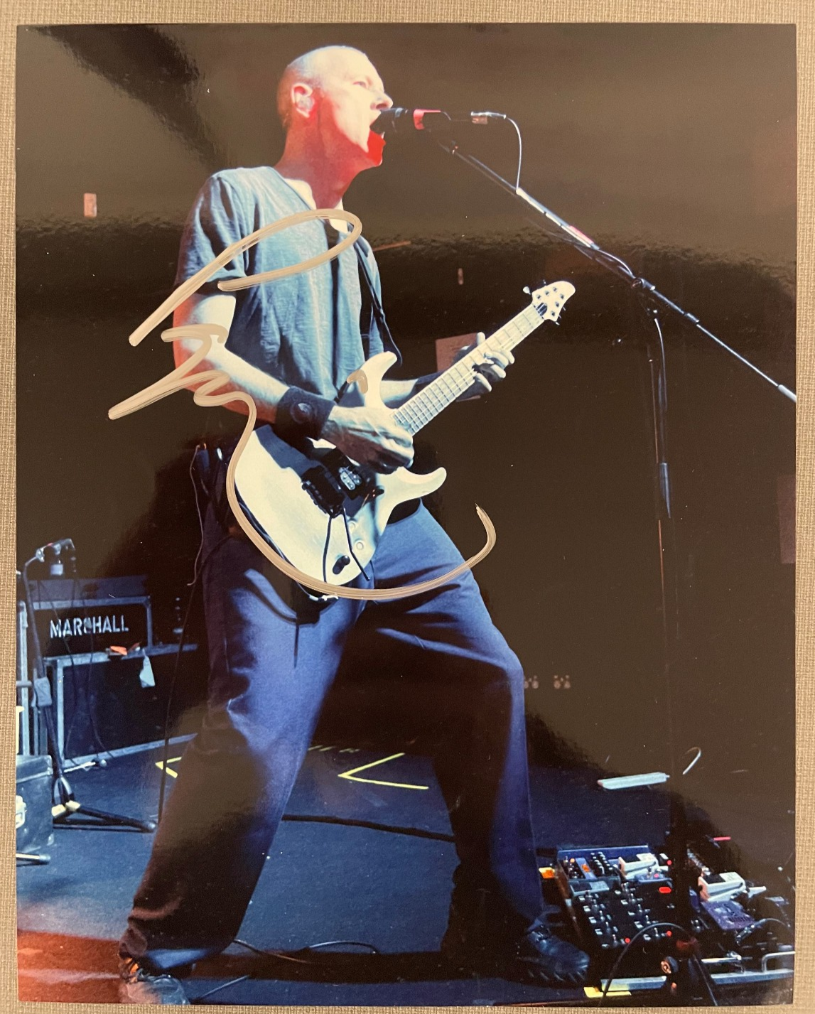 Page Hamilton Lead singer of band Helmet Signed Autograph 8x10 Glossy Photograph