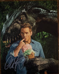 Chris Pratt Jurassic World Signed Autographed Signature 8×10 Matte Photograph