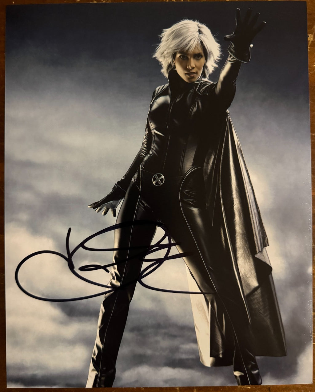Halle Berry X-Men Storm Signed Autographed Signature 8x10 Matte Photograph COA