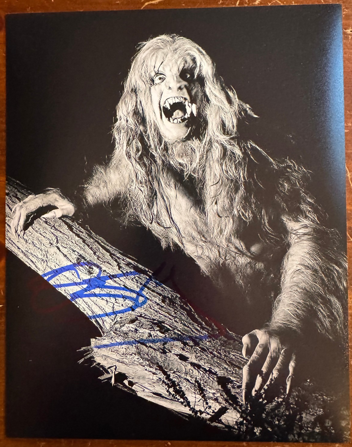 Ozzy Ozbourne Signed Autographed Signature 8x10 Matte Photograph COA