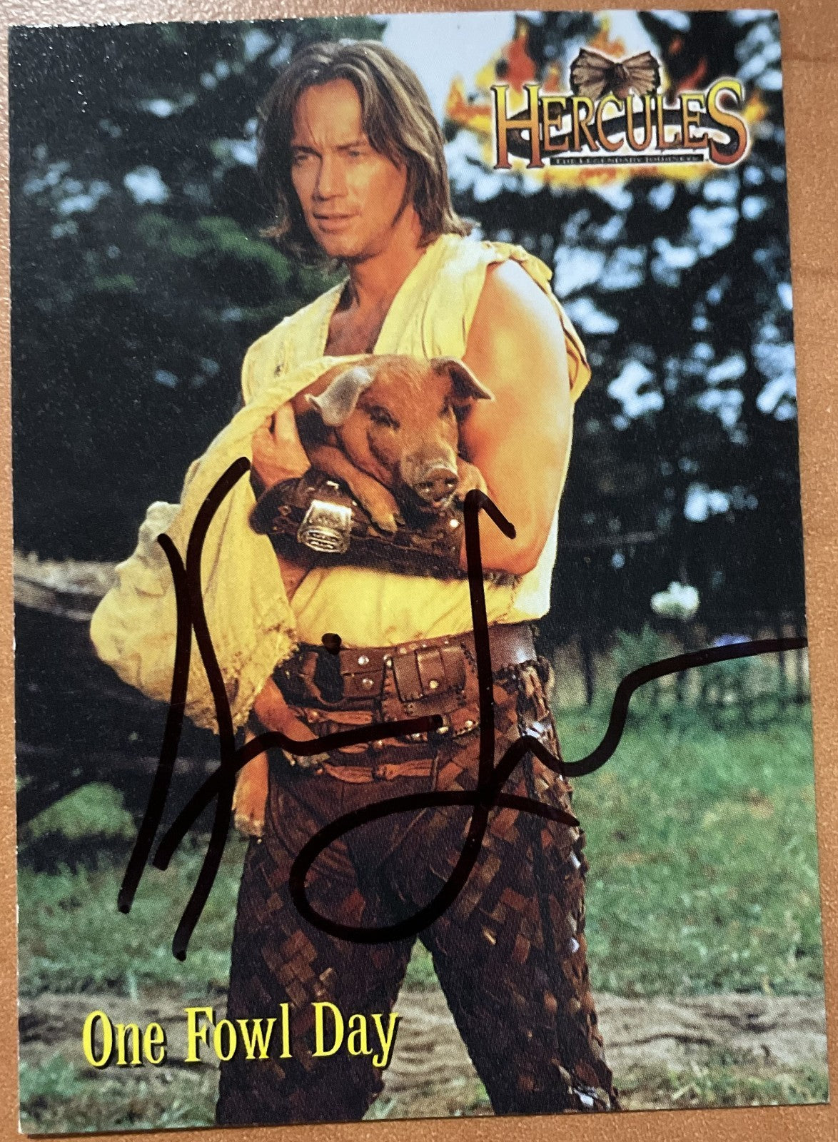 Kevin Sorbo Signed Autograph Signature Hercules Memorabilia Trading Card