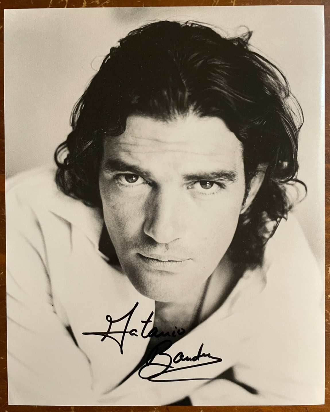 Antonio Banderas signed Autograph Signatures 8x10 B&W Glossy Photograph