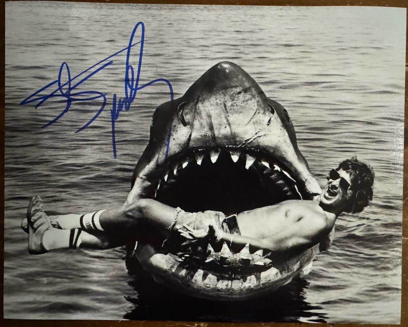 Steven Spielberg JAWS Signed Autograph Signature 8x10 Matte Photograph COA
