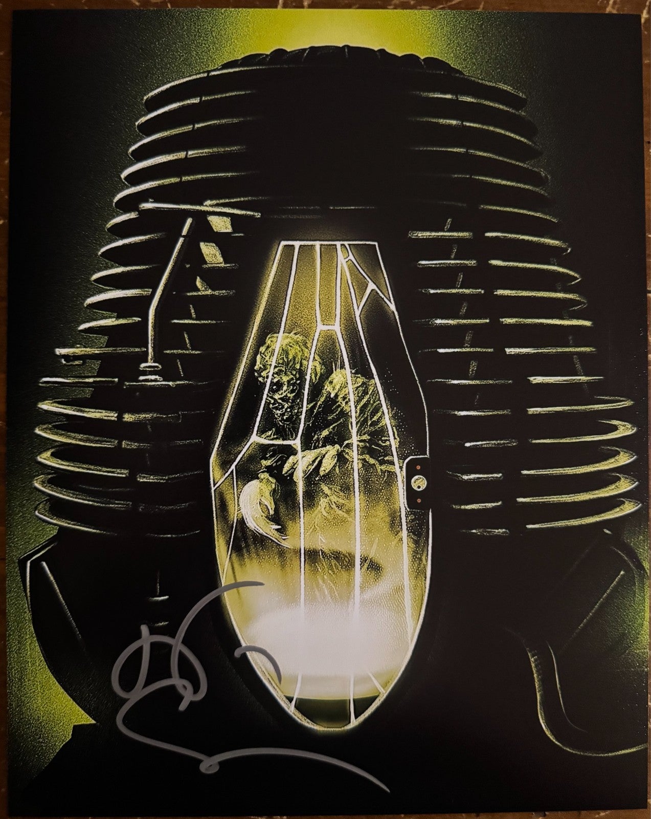 Jeff GoldBlum The FLY Signed Autographed Signature 8x10 Matte Photograph COA