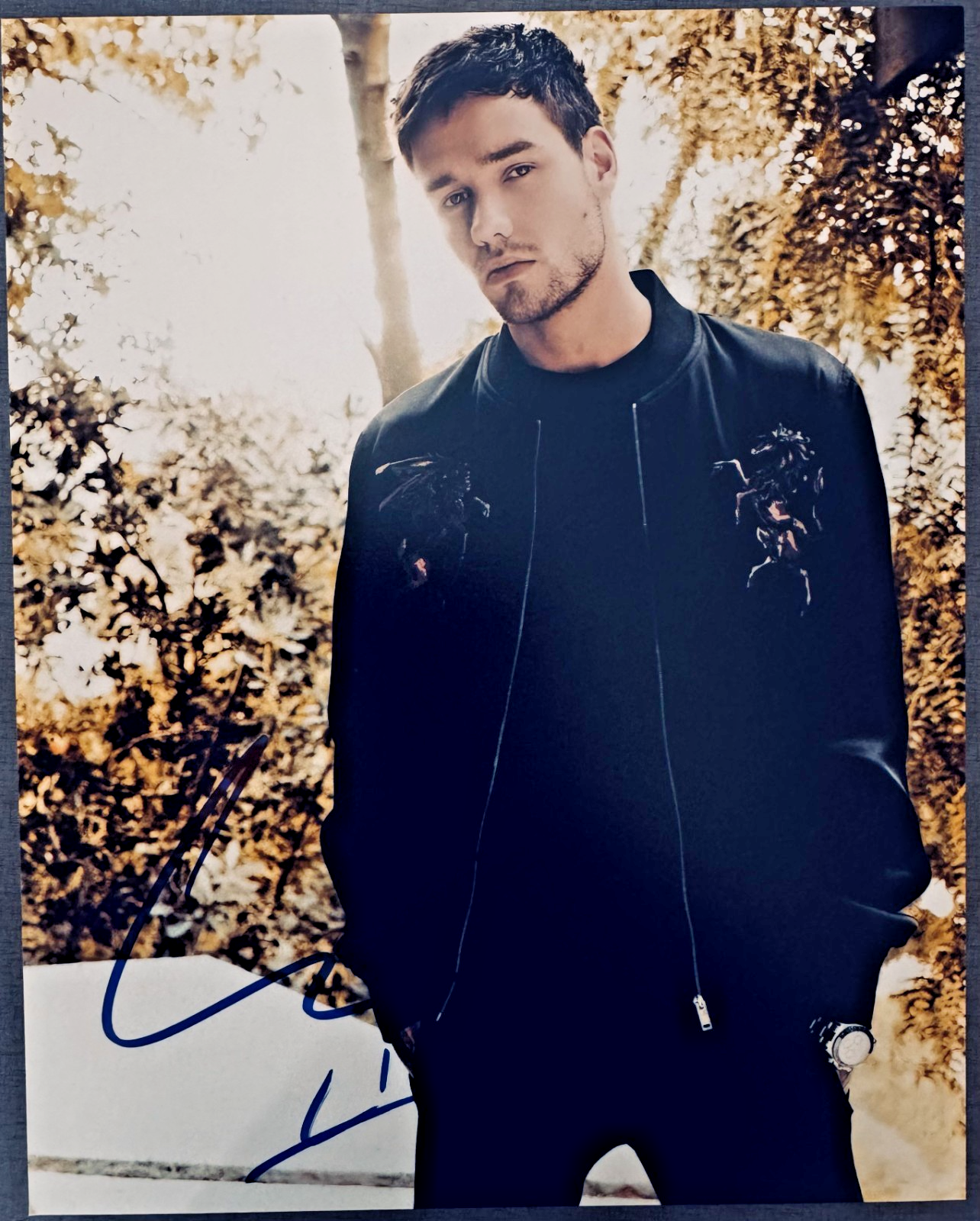 Liam Payne Signed Autographed Signature 8x10 Matte Photograph COA