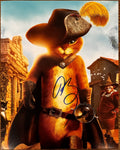 Antonio Banderas Puss N Boots Signed Autographed Signature 8x10 Matte Photo COA