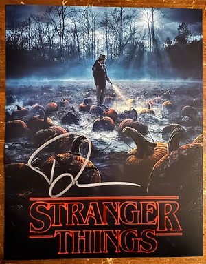 David Harbour Jim Hopper Autographed Signature 8x10 Matte Stranger Things COA