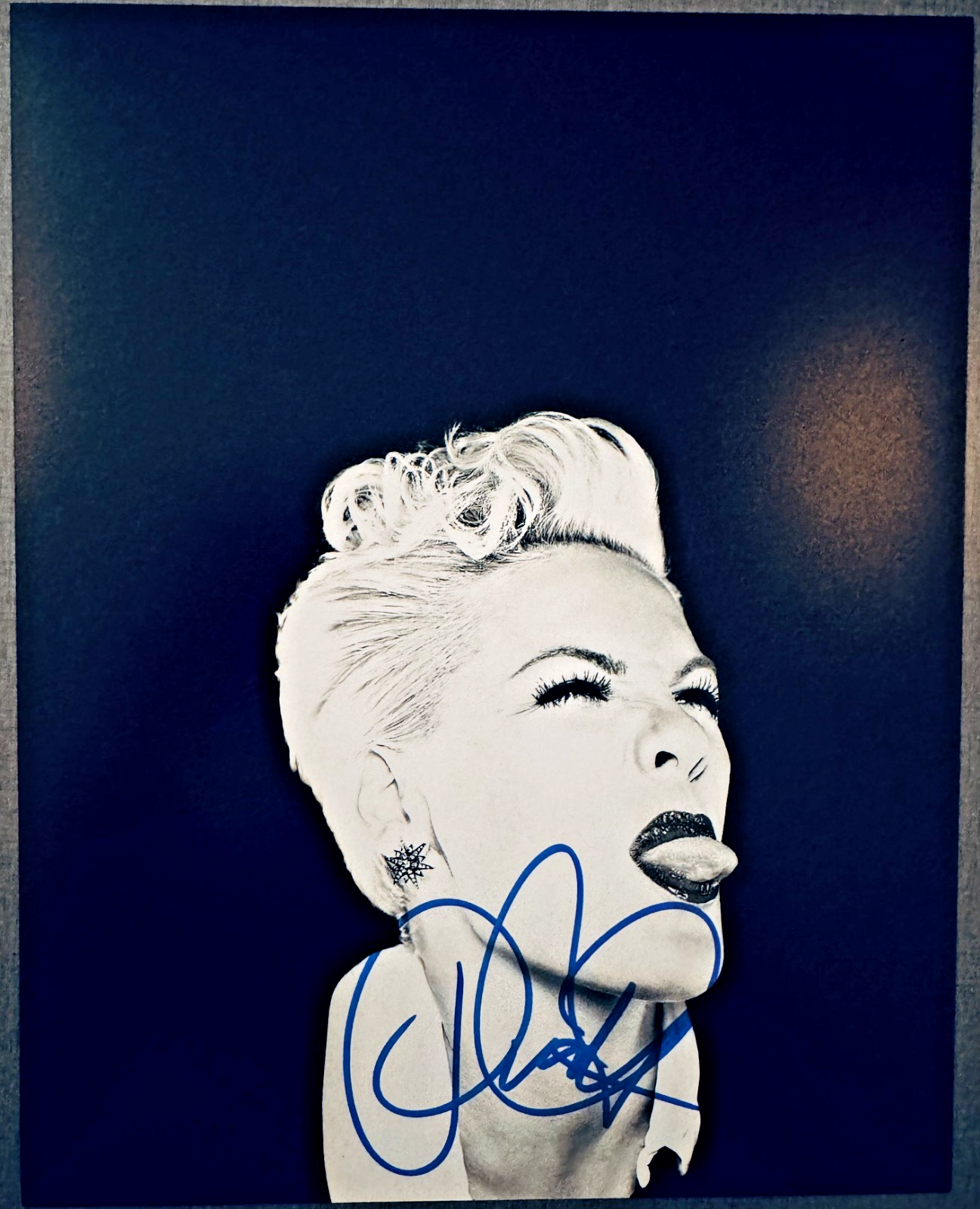 Pink Signed Autographed Signature 8x10 Matte Photograph COA