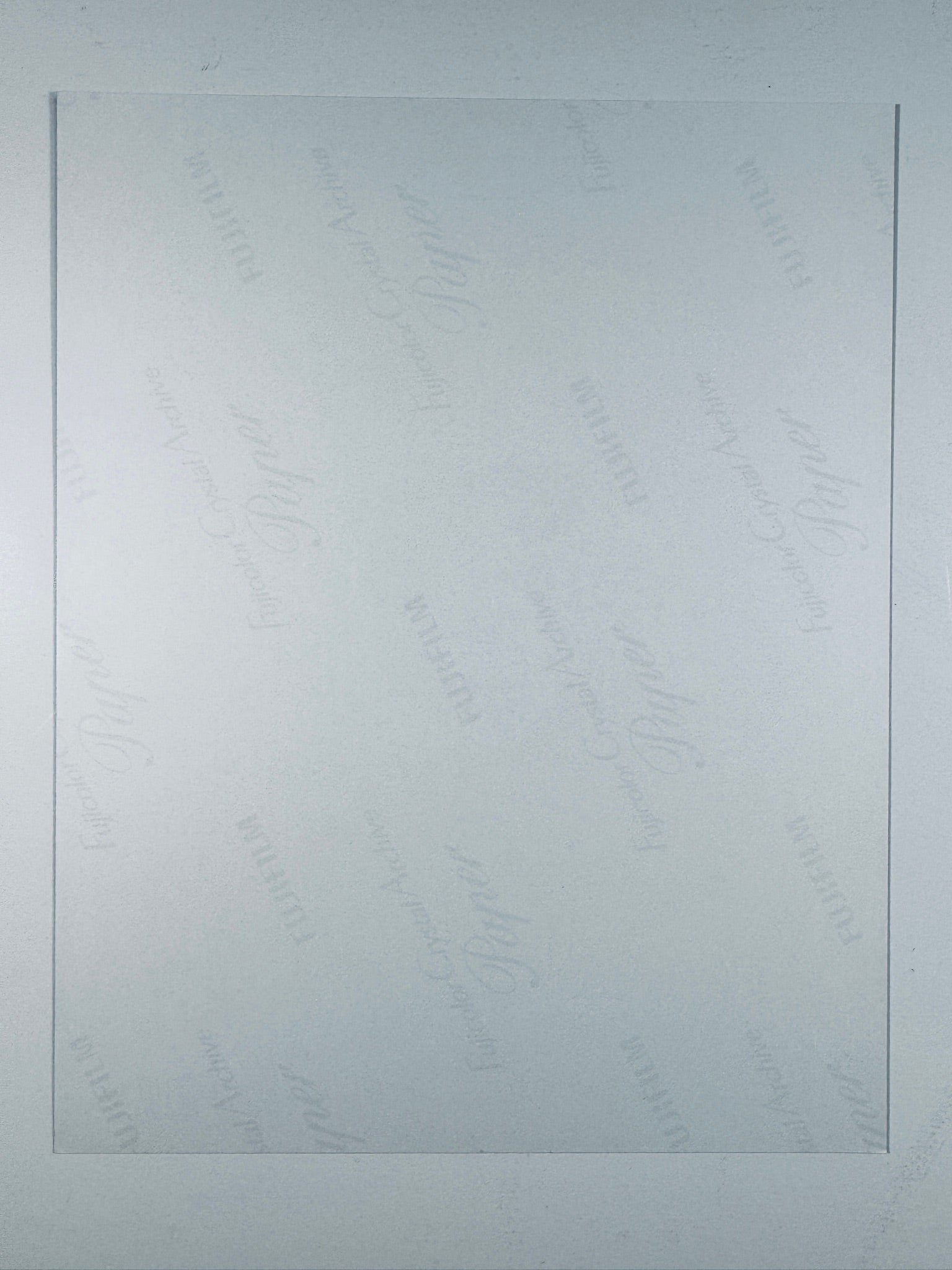 The plain white reverse side of a photographic print showing translucent Fujicolor Crystal Archive Paper watermarks and logos.