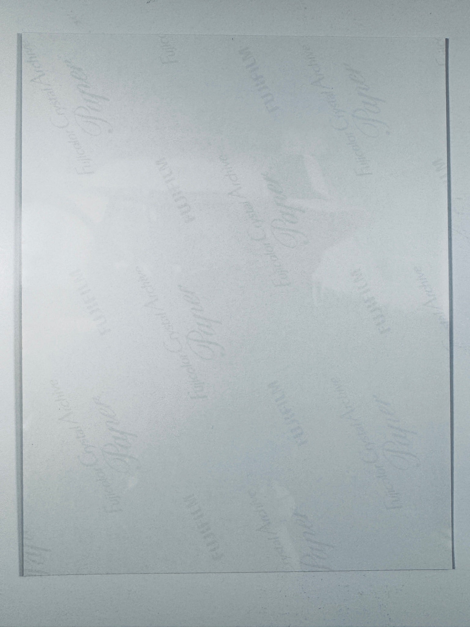 The plain white reverse side of a photographic print showing translucent Fujicolor Crystal Archive Paper watermarks and logos.