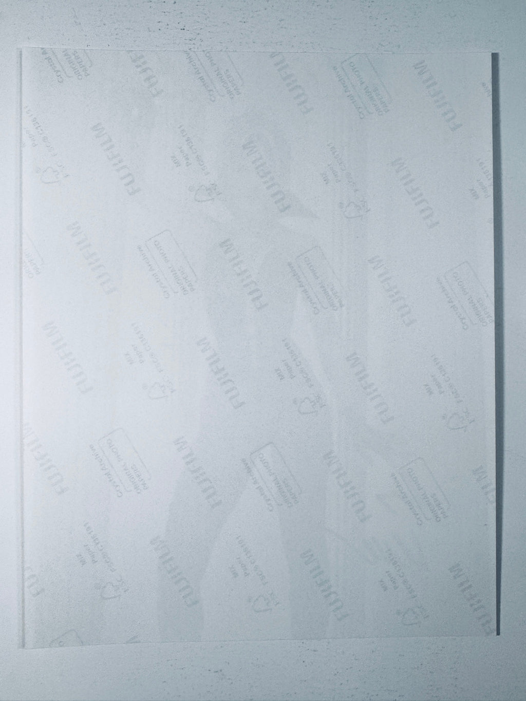 Back of the Fujifilm photographic paper showing the reverse side condition and paper branding for the Sarah Michelle Gellar signed Buffy the Vampire Slayer collectible.