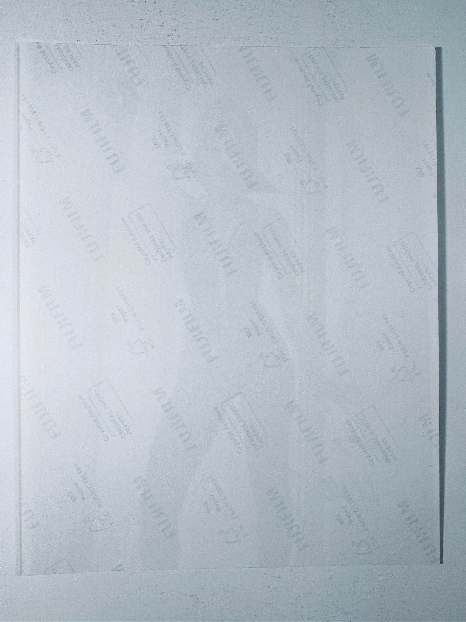 Back of the Fujifilm photographic paper showing the reverse side condition and paper branding for the Sarah Michelle Gellar signed Buffy the Vampire Slayer collectible.