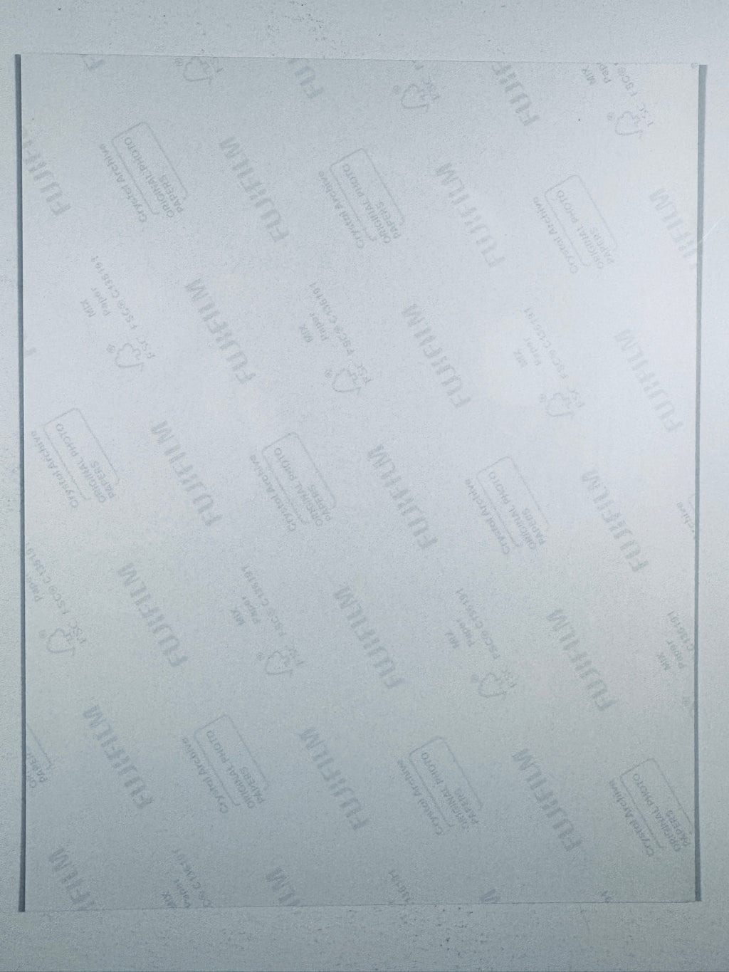 The plain white reverse side representing the back physical condition of the photograph print, showing translucent Fujifilm crystal archive paper watermarks and logos.