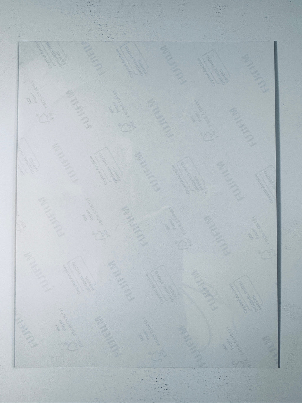 Fujifilm Crystal Archive photographic paper back surface showing the authentic backing and matte paper texture for the Sebastian Stan signed photo.