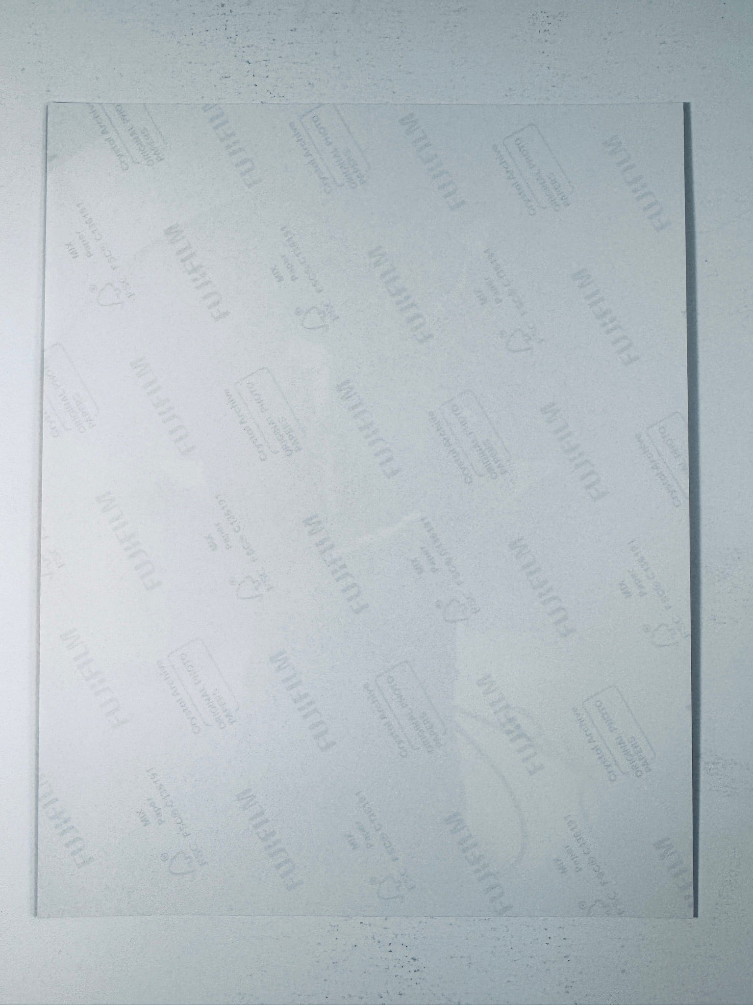 Fujifilm Crystal Archive photographic paper back surface showing the authentic backing and matte paper texture for the Sebastian Stan signed photo.