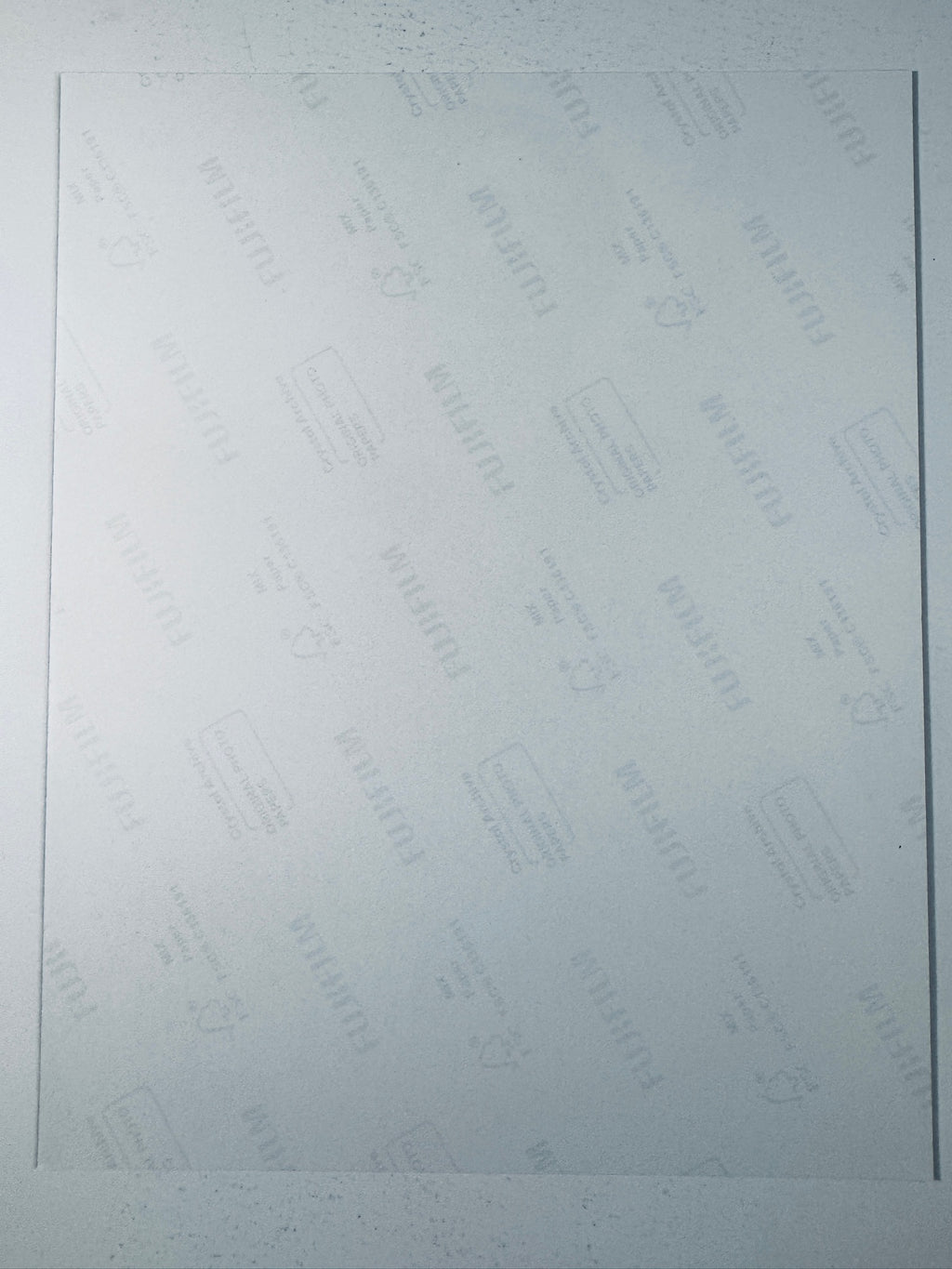 Fujifilm Crystal Archive photographic paper back surface showing the authentic backing and matte paper texture for the Sebastian Stan signed photo.