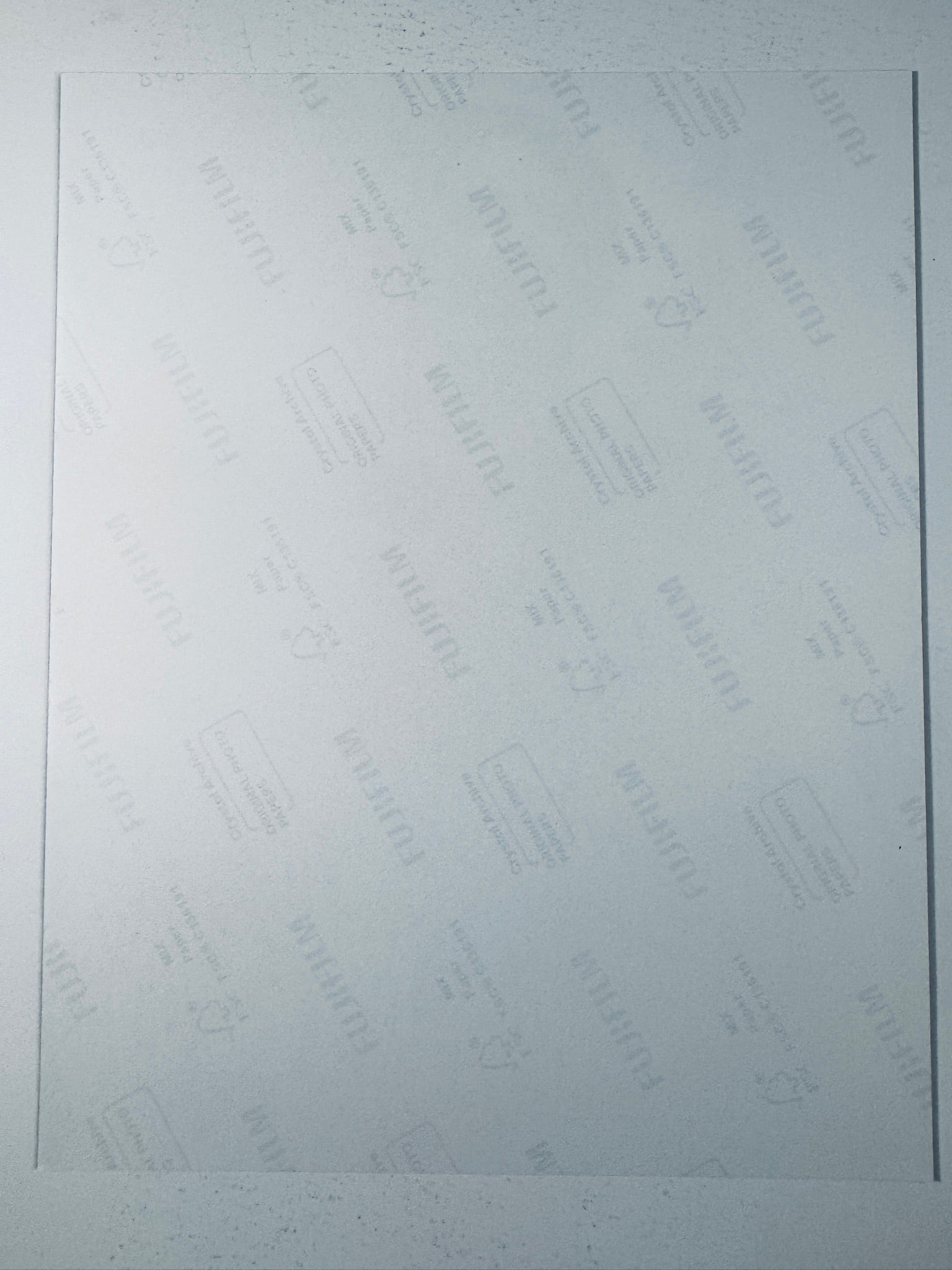 Fujifilm Crystal Archive photographic paper back surface showing the authentic backing and matte paper texture for the Sebastian Stan signed photo.