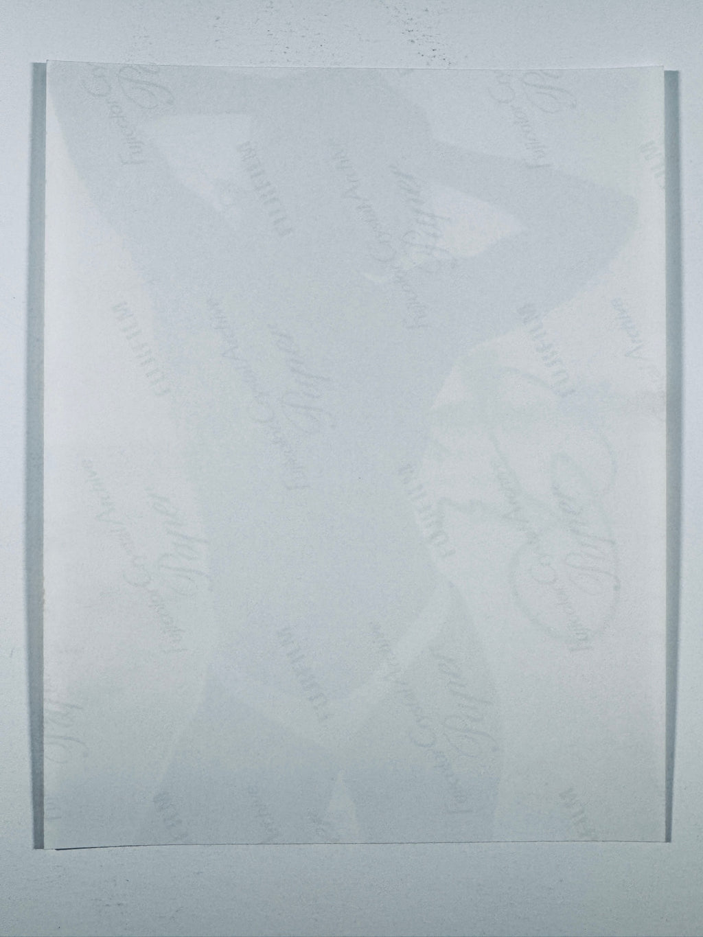 The plain white reverse side of a photographic print showing translucent Fujicolor Crystal Archive Paper watermarks and logos.