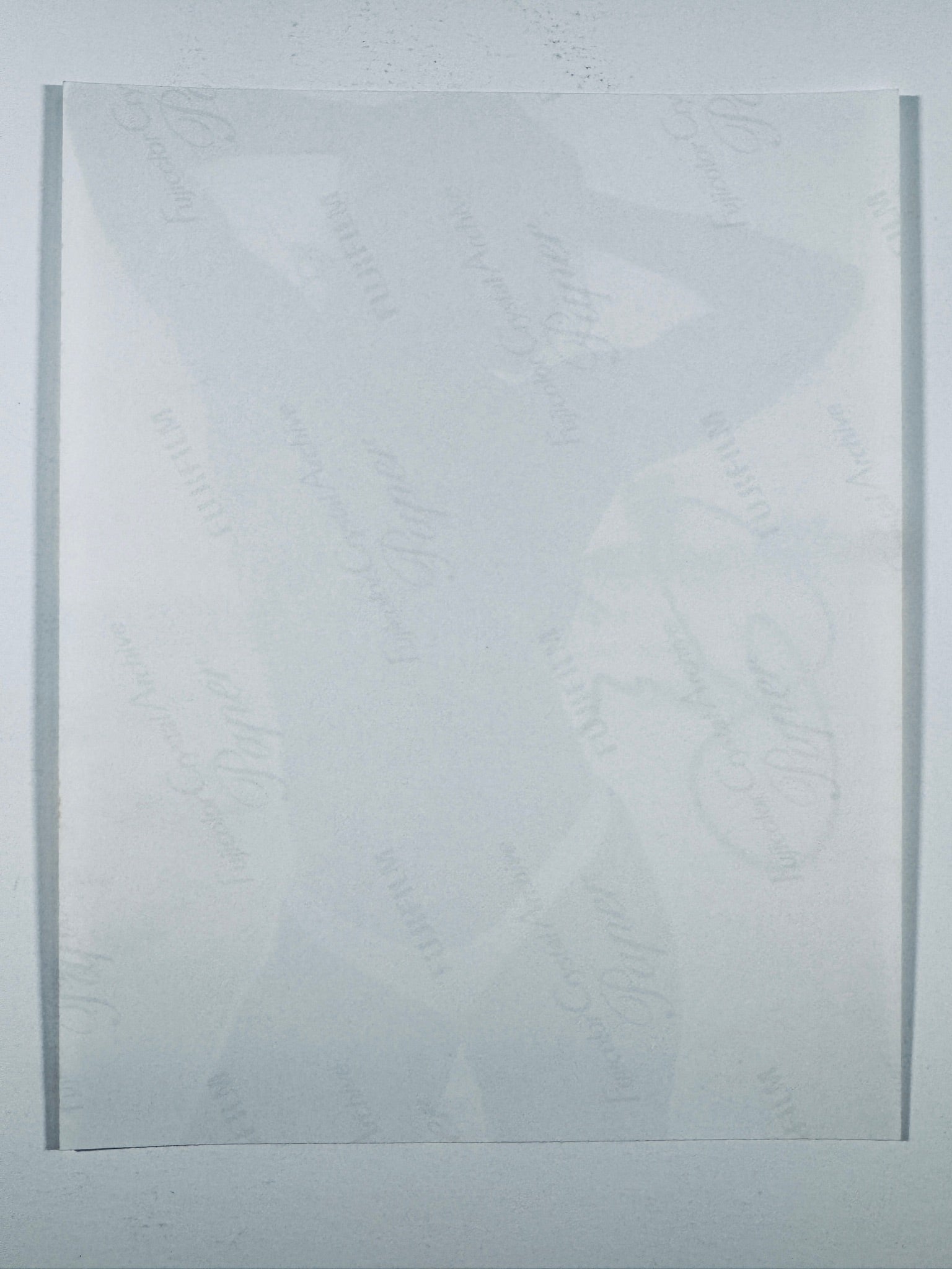 The plain white reverse side of a photographic print showing translucent Fujicolor Crystal Archive Paper watermarks and logos.