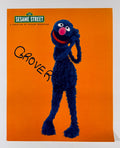 Full front view of Sesame Street Grover 8x10 photo hand-signed in character in black marker.