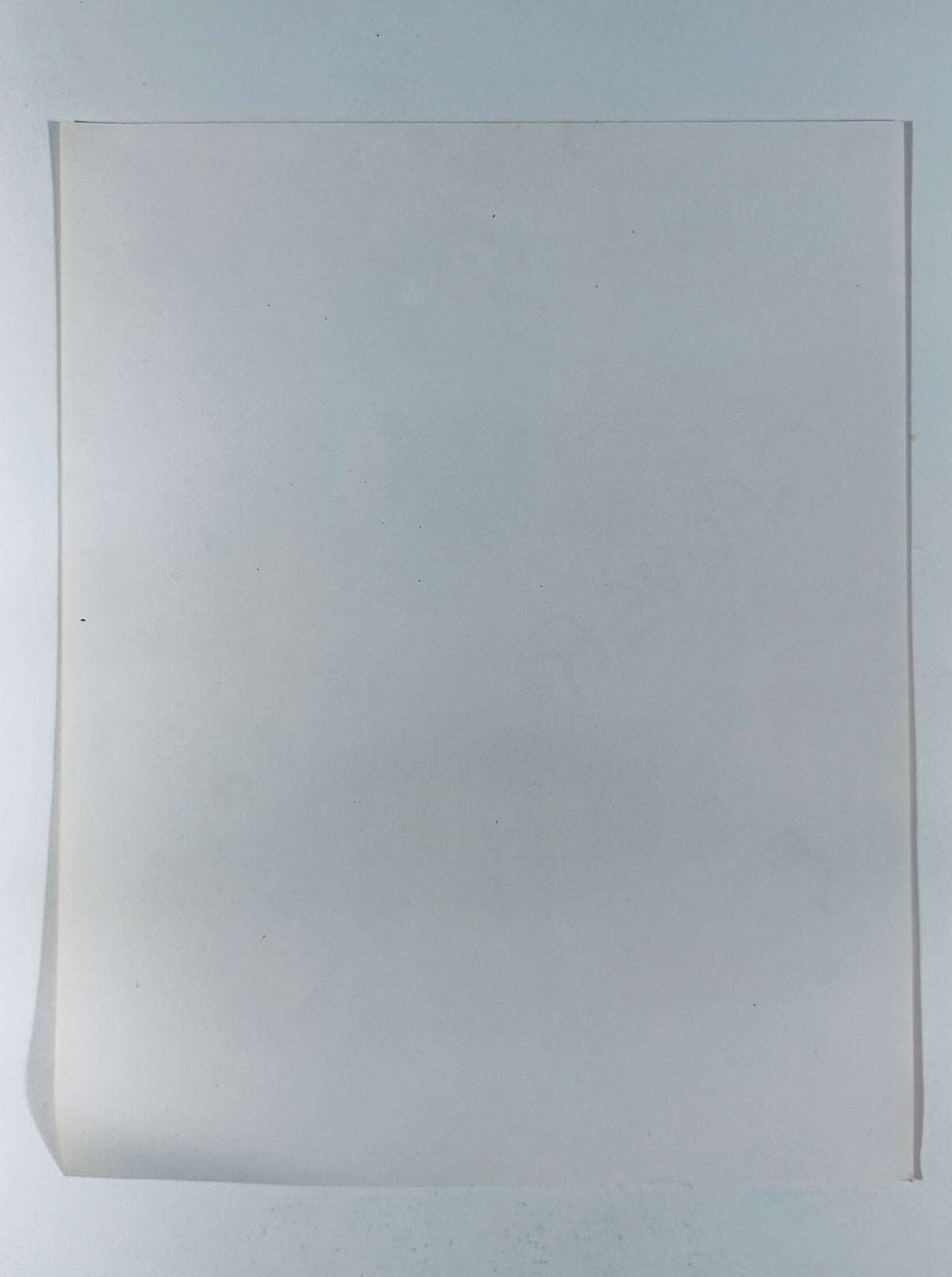 Full back view of the plain white 8x10 photo card.