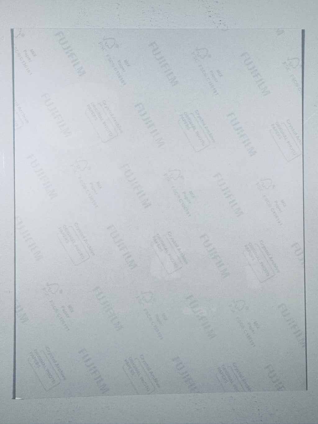 The plain white reverse side representing the back physical condition of the photograph print, showing translucent Fujifilm crystal archive paper watermarks and logos.