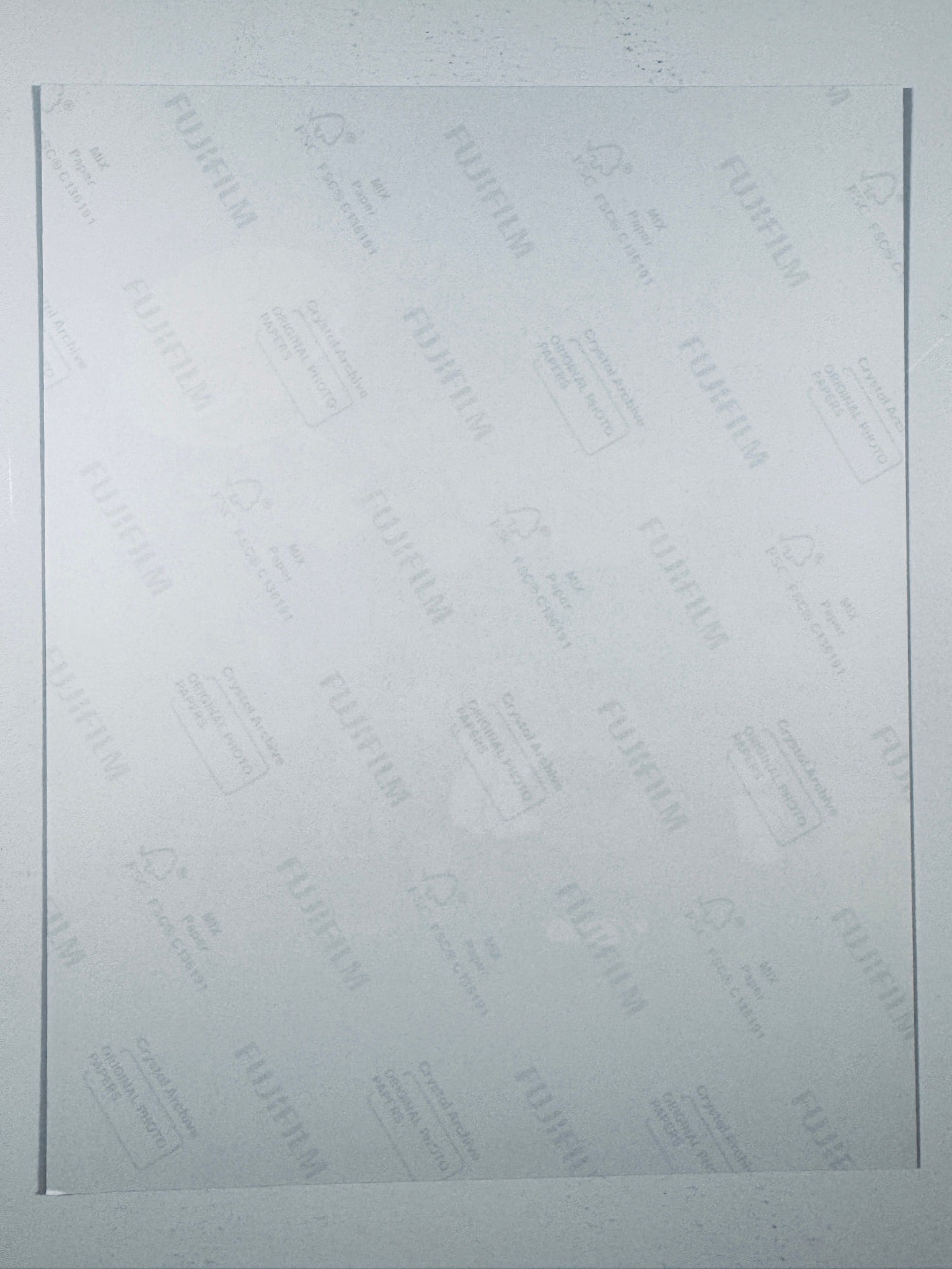 The plain white reverse side representing the back physical condition of the photograph print, showing translucent Fujifilm crystal archive paper watermarks and logos.