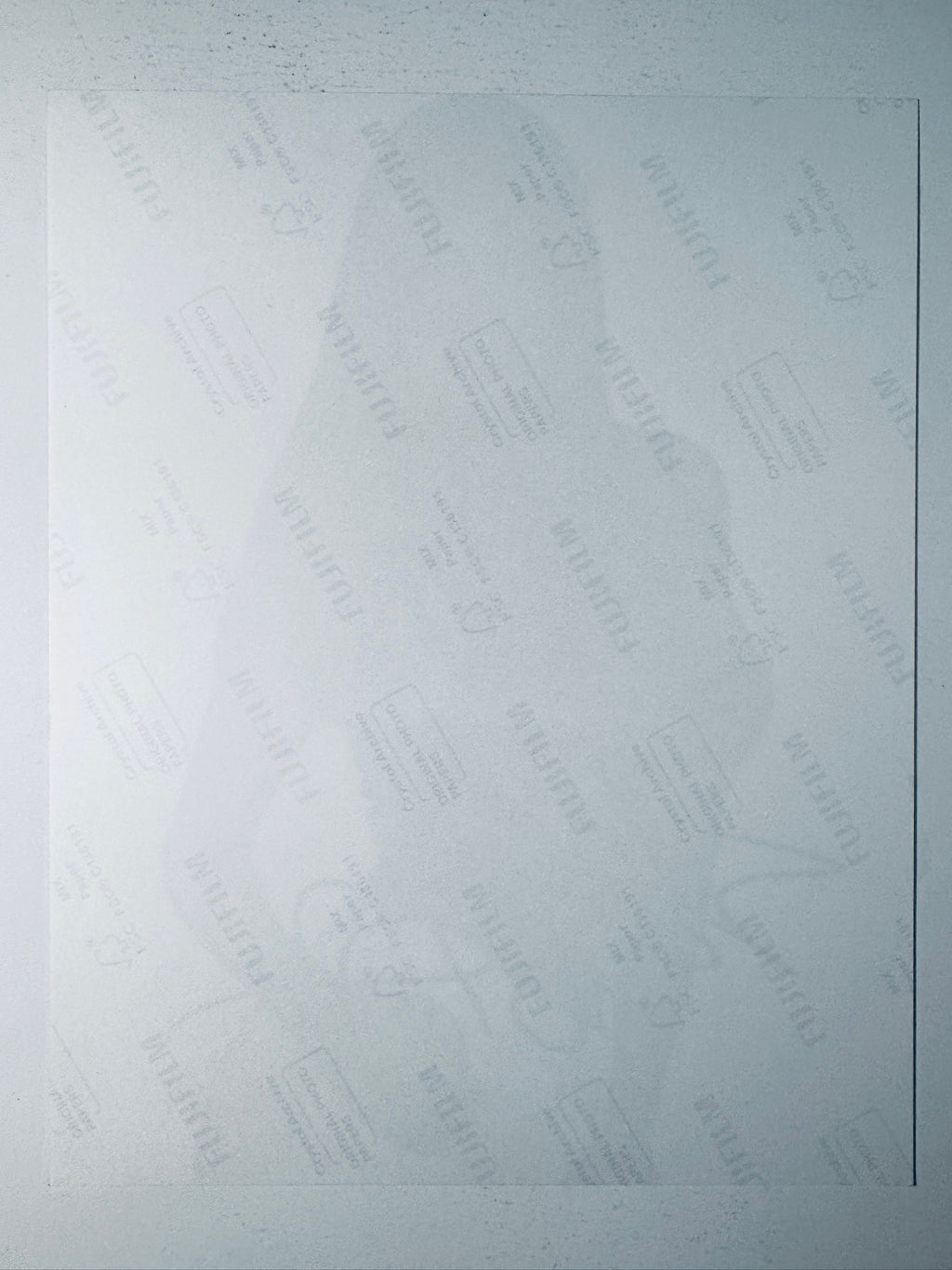 Back condition view of the Fujifilm Crystal Archive paper for the Sofia Vergara signed 8x10 photo.