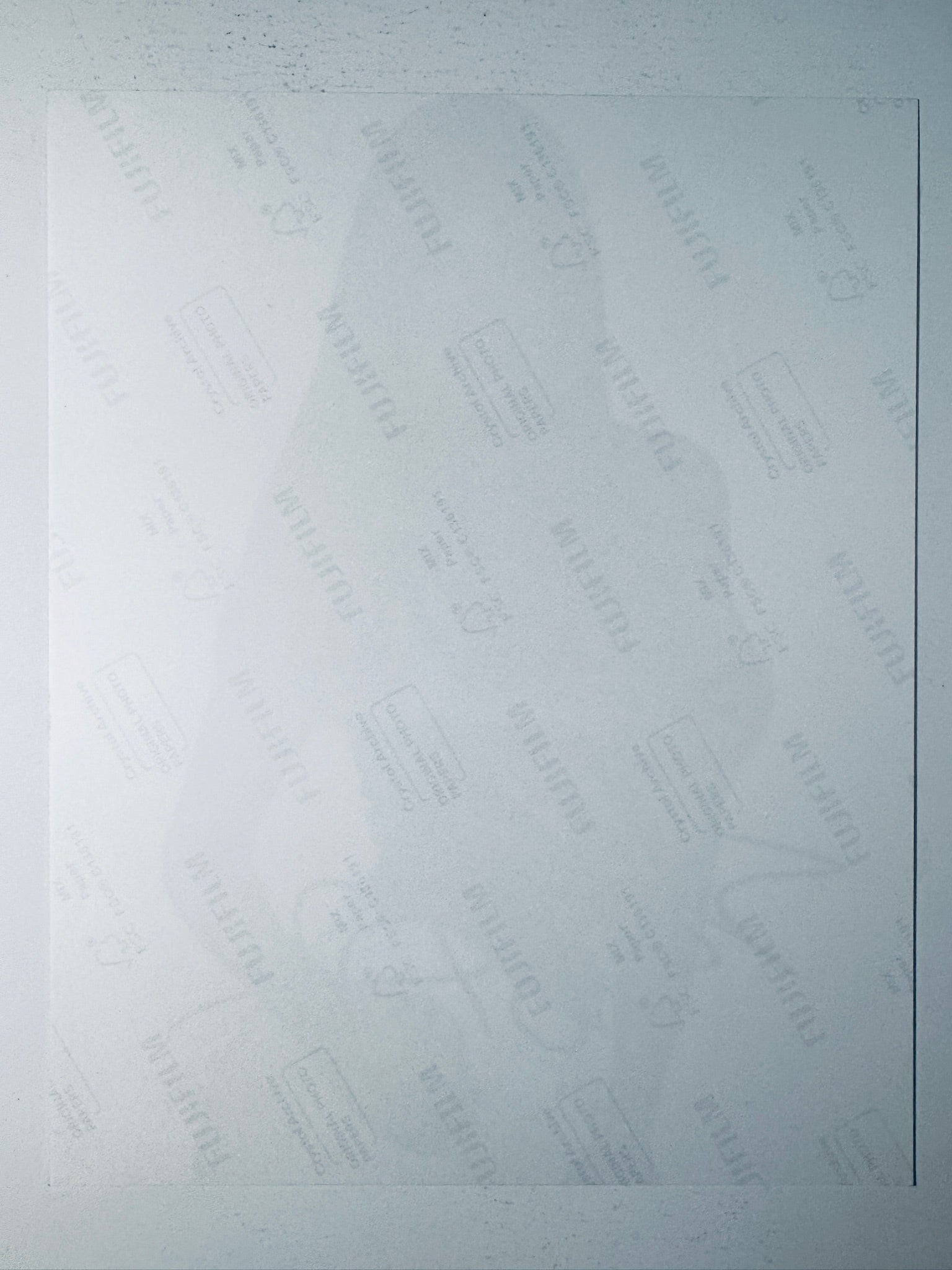 Back condition view of the Fujifilm Crystal Archive paper for the Sofia Vergara signed 8x10 photo.