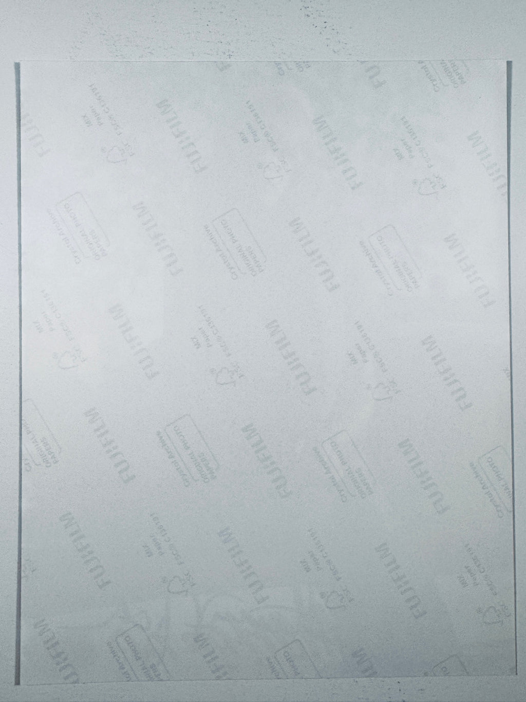 The plain white reverse side representing the back physical condition of the photograph print, showing translucent Fujifilm crystal archive paper watermarks and logos.
