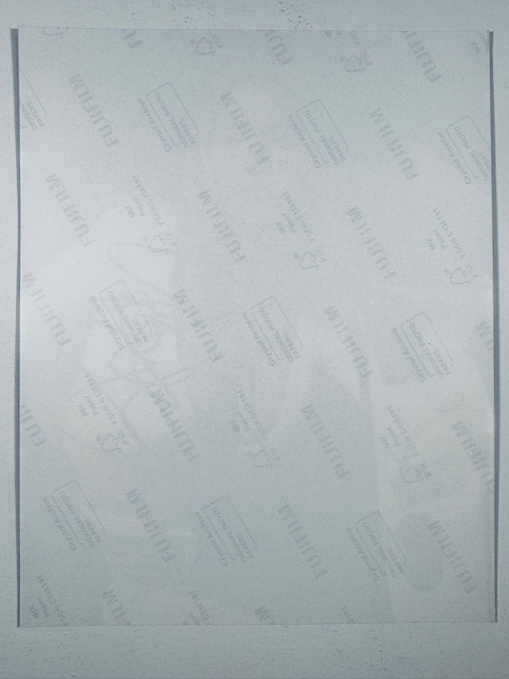 The plain white reverse side representing the back physical condition of the photograph print, showing translucent Fujifilm crystal archive paper watermarks and logos.