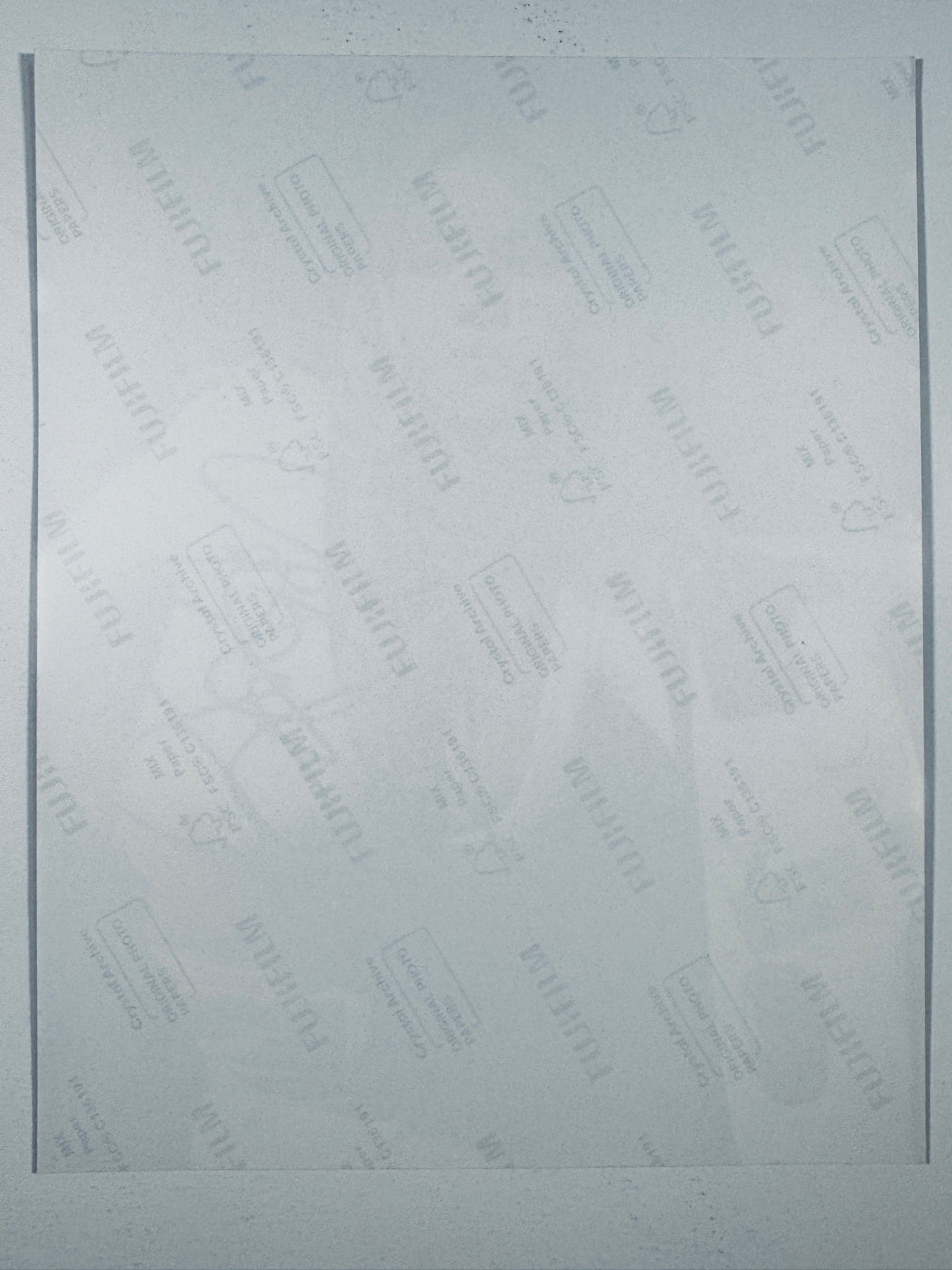 The plain white reverse side representing the back physical condition of the photograph print, showing translucent Fujifilm crystal archive paper watermarks and logos.