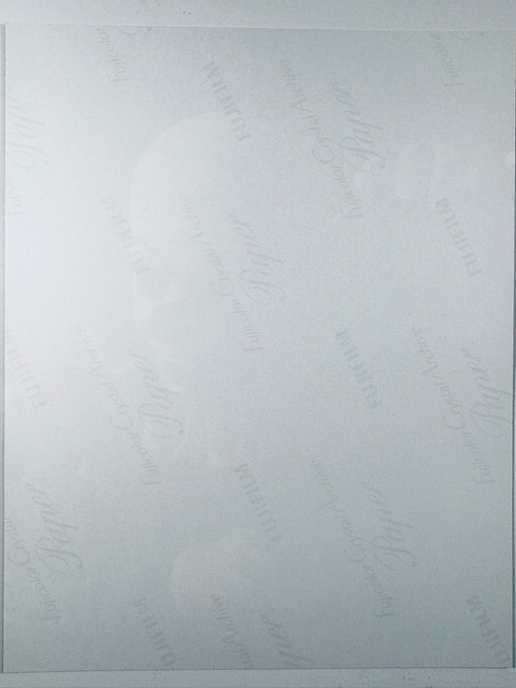 The plain white reverse side of a photographic print showing faint translucent watermark patterns and repeating Fujifilm paper logos.