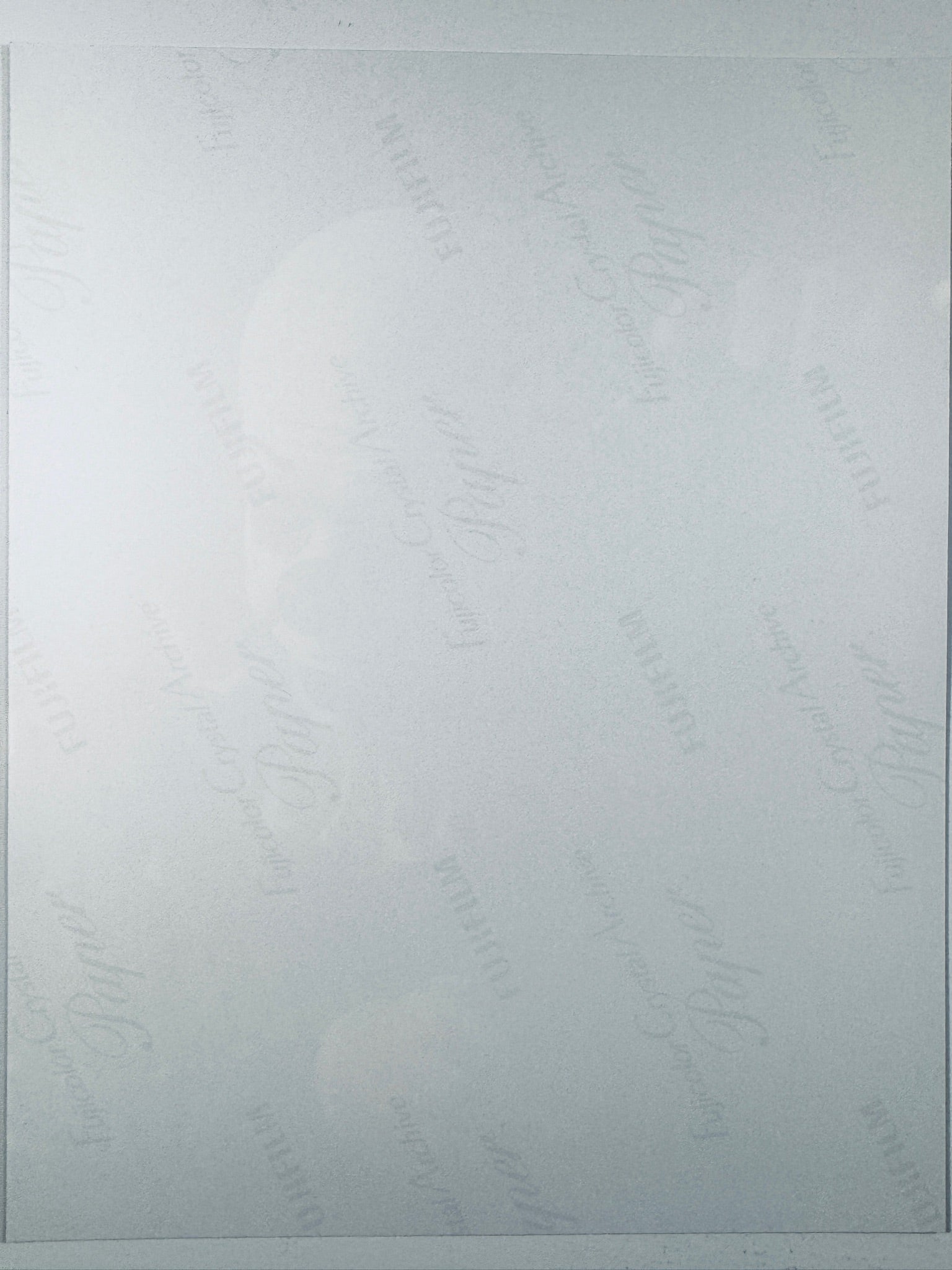 The plain white reverse side of a photographic print showing faint translucent watermark patterns and repeating Fujifilm paper logos.