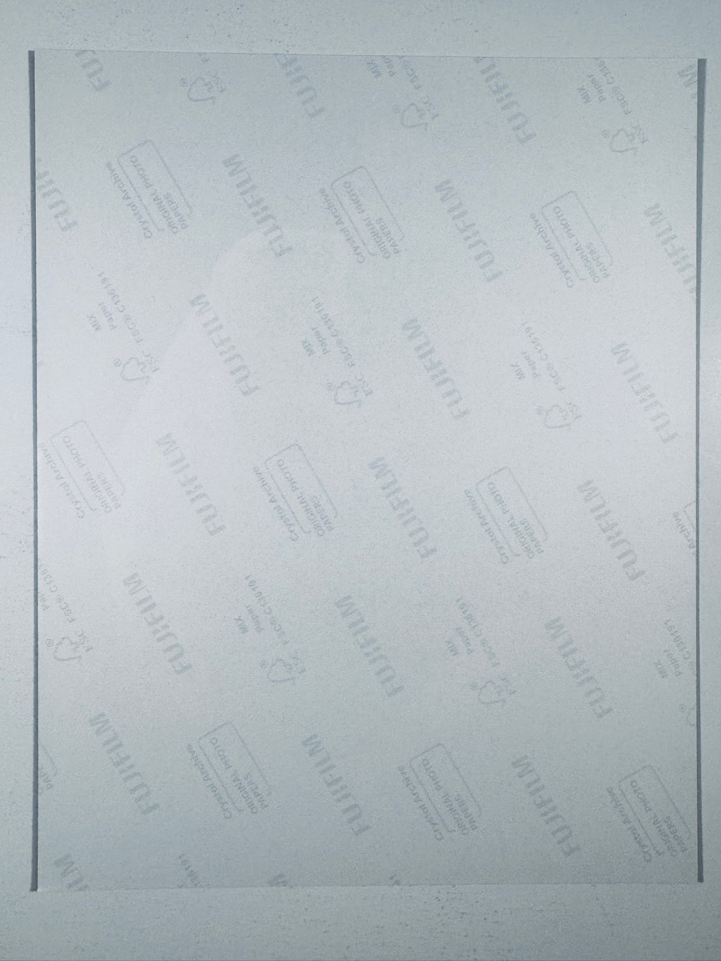 The plain white reverse side representing the back physical condition of the photograph print, showing translucent Fujifilm crystal archive paper watermarks and logos.