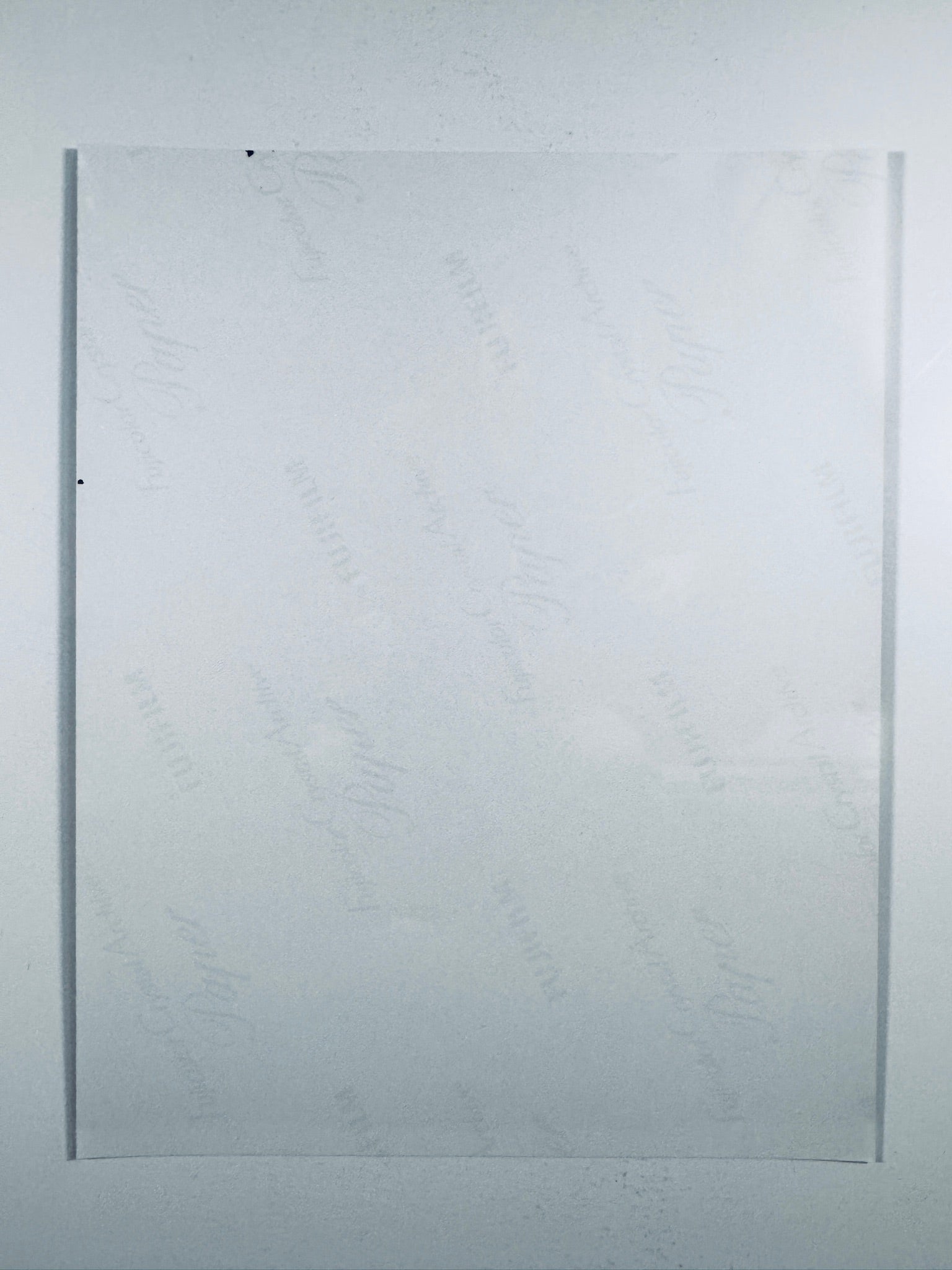 The plain white reverse side representing the back physical condition of the photograph print, showing translucent Fujifilm crystal archive paper watermarks and logos.