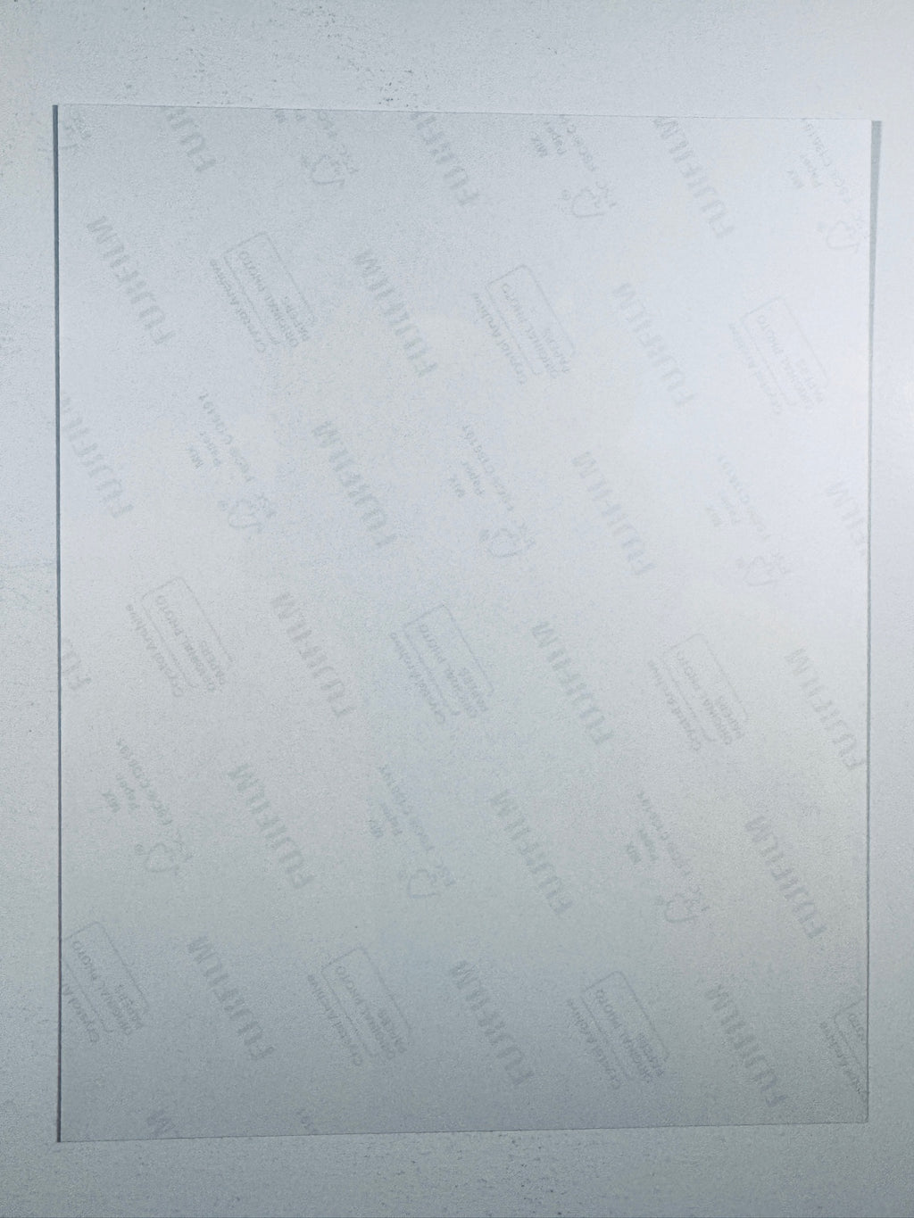 Tom Holland Hand-Signed 8x10 Matte Photo – Spider-Man MCU Authentic Autograph - Northwest Cascade Collectibles