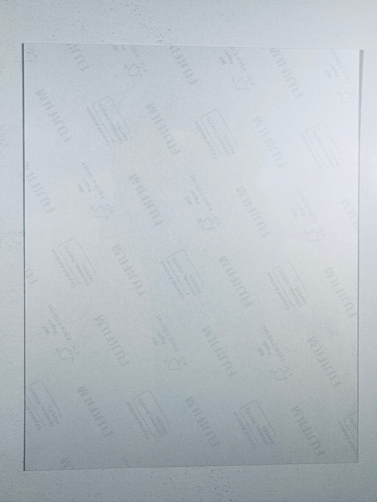 Tom Holland Hand-Signed 8x10 Matte Photo – Spider-Man MCU Authentic Autograph - Northwest Cascade Collectibles