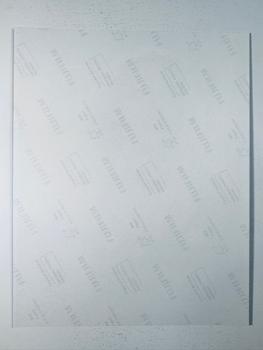 Fujifilm Crystal Archive photographic paper back surface showing the authentic backing and matte paper texture for the Trish Stratus signed photo.