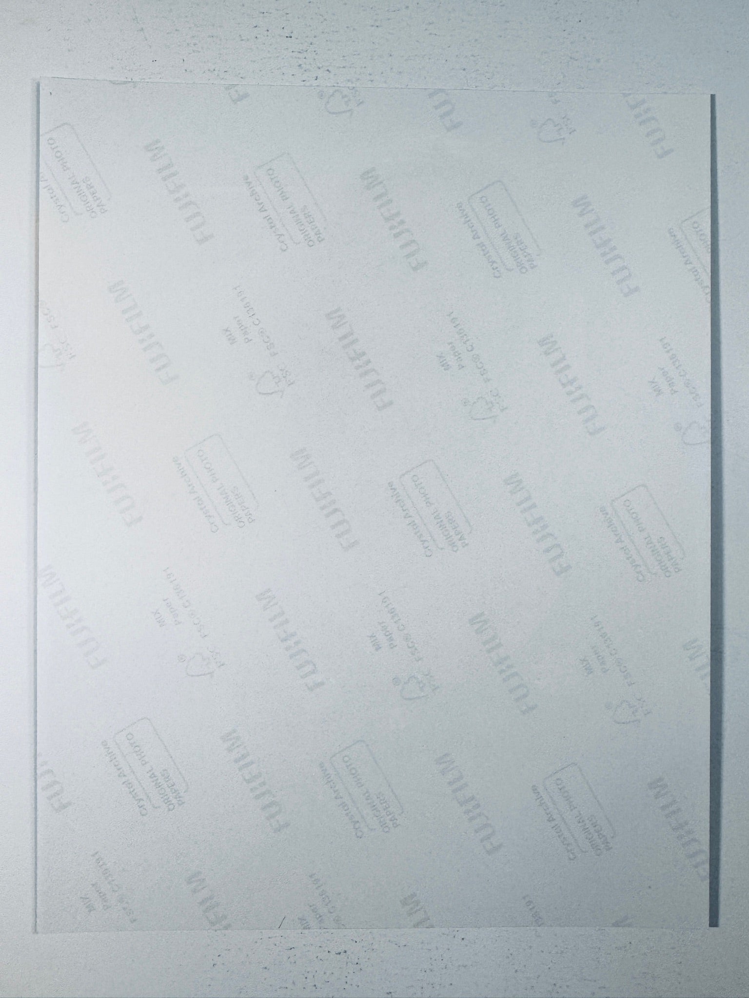 Fujifilm Crystal Archive photographic paper back surface showing the authentic backing and matte paper texture for the Trish Stratus signed photo.
