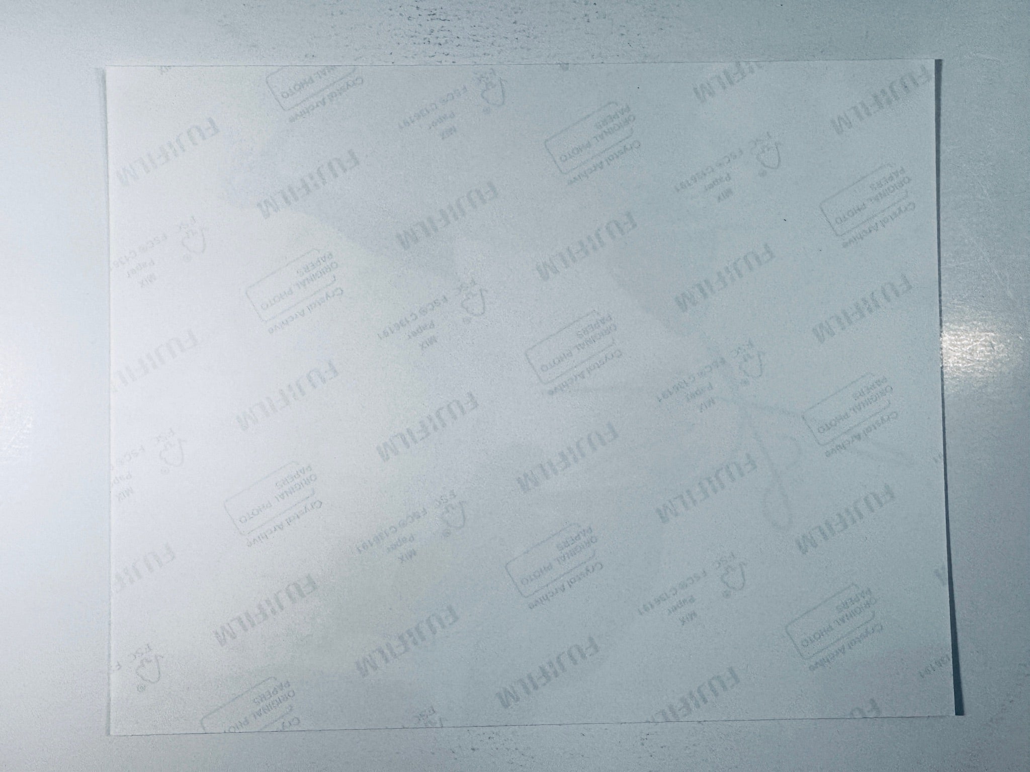 Back condition view of the Fujifilm Crystal Archive paper for the Tyler, The Creator signed 8x10 photo.