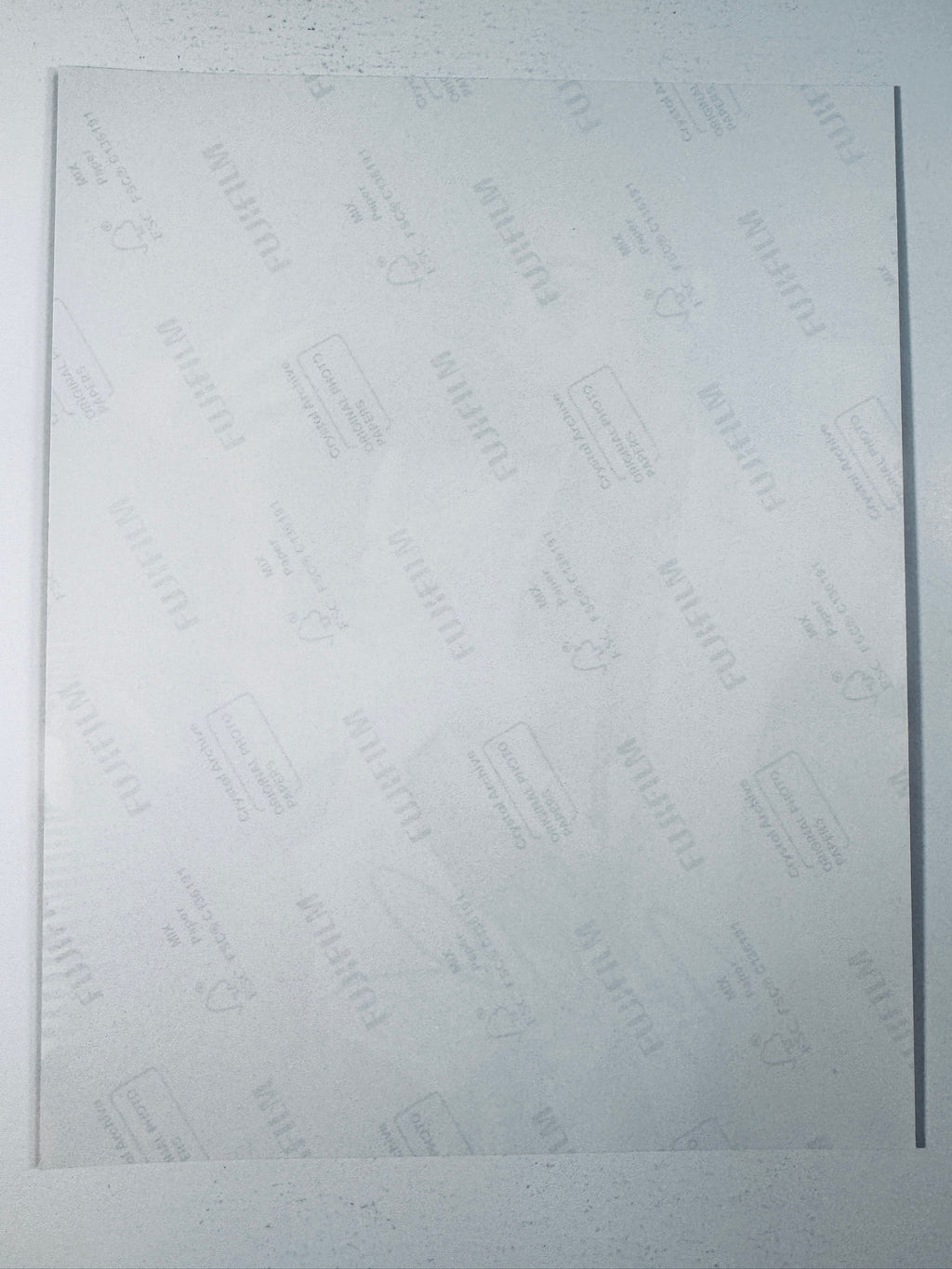 Back of the Fujifilm photographic paper showing the reverse side condition and paper branding for the Vanessa Hudgens signed collectible.