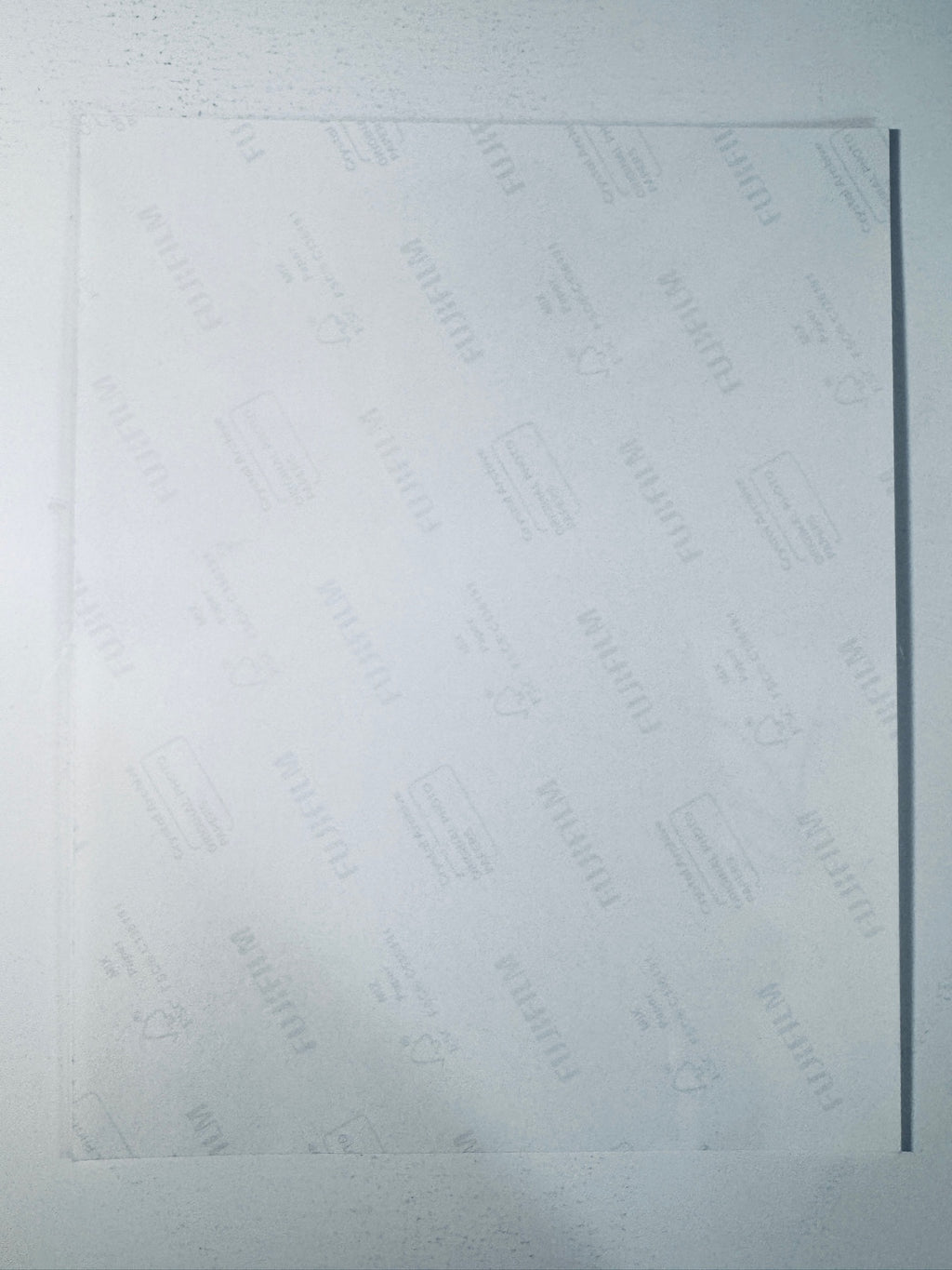 Back condition view of the Fujifilm Crystal Archive paper for the Vivien Lyra Blair signed 8x10 photo.