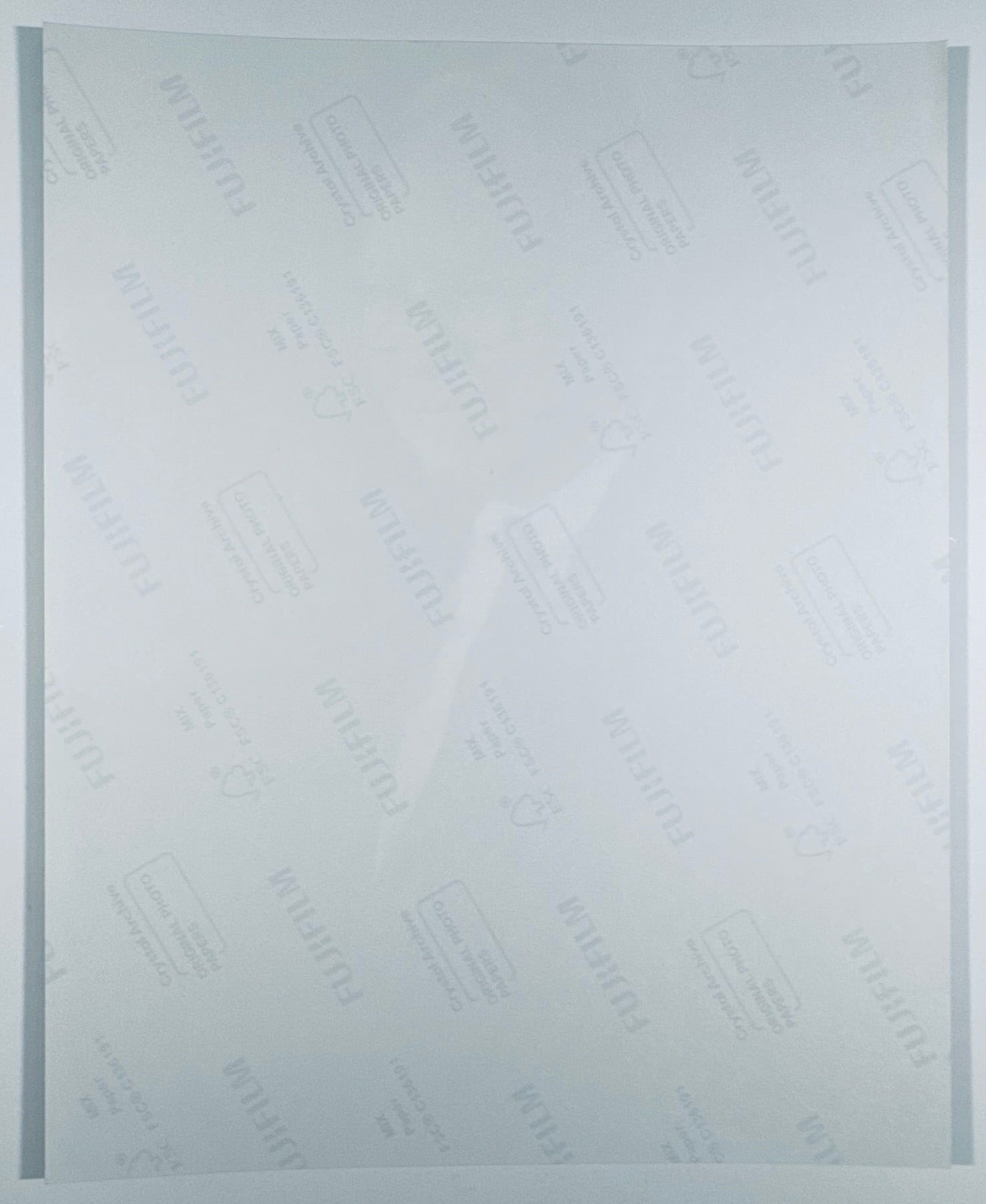 The back of the 8x10 photograph showing its current condition and paper quality.