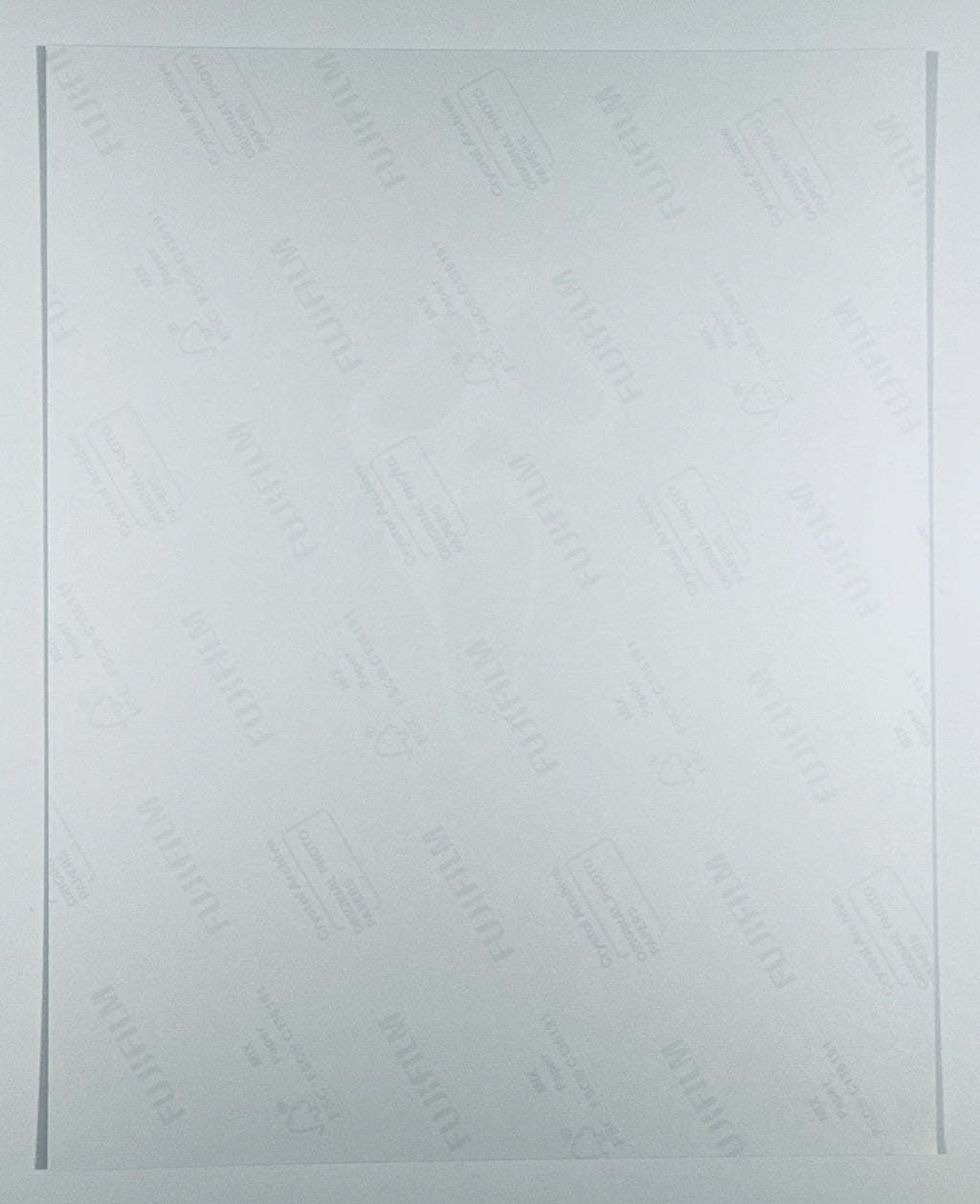 The back of the 8x10 photograph showing its current condition and paper quality.
